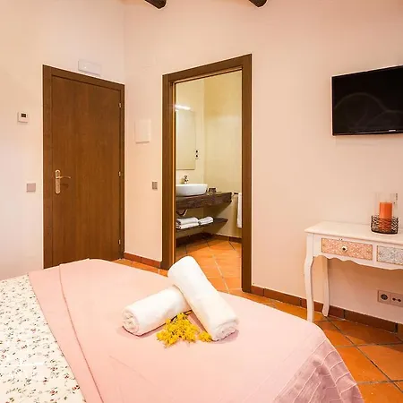 Country house Masia Canyes &