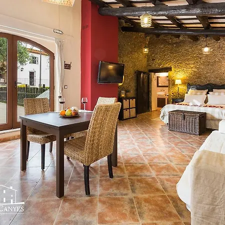 Country house Masia Canyes & *