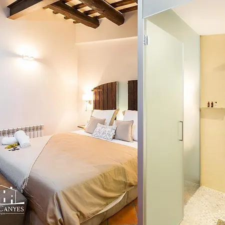 Masia Canyes & Country house