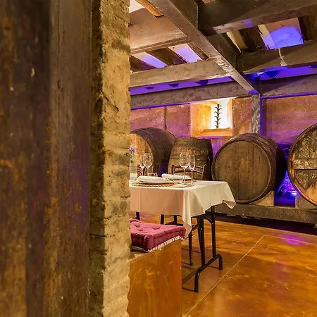 Masia Canyes & Country house *